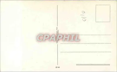 Abelha sobre flor rosa — Santo Francisco de Assis — Apostillia edições - Paris, CP 40 — Verso