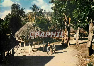 Vila de Camponeses — Haiti — Editor Exichrome, n° 1182