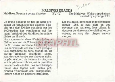 Maldivas - Tubarão branco de ponta — n° XV-C1 — Verso