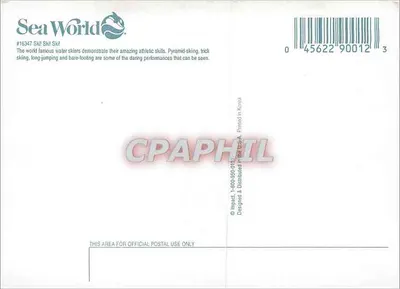 Sea World — Kajakarze wodni — Impact, nr 16347 — Rewers