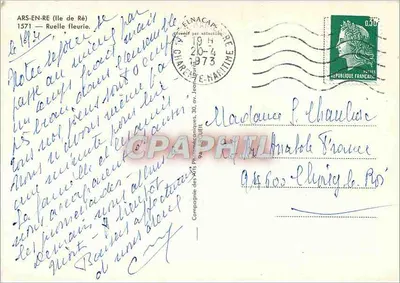 Ars-en-Ré — Ruela florida — Compagnie des Arts Phéniciens, 30, av. Jean-Jaurès — Verso