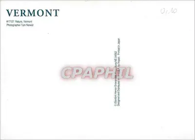 Vermont — Las jesienny — Fotografia Tom Narwid, seria #17127 — Rewers