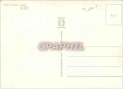 Gabès (Tunesië): de oase van Ouse — Maatschappij CARTHEAGE, Tunesië — Achterkant