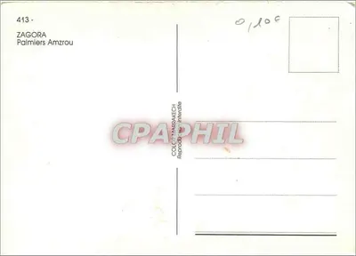 Zagora — Palmiery Amzrou — Zbiór Marbakech — Rewers