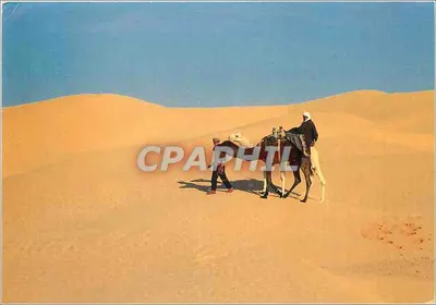 Dunas do Saara — Editor Mirage, Tunísia