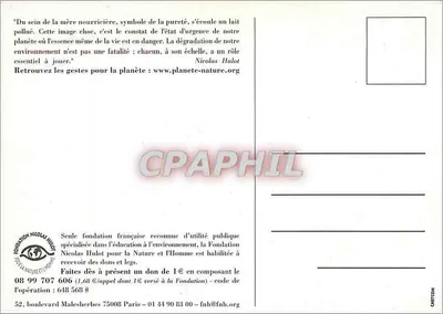 Seio da mãe amamentadora — símbolo da pureza poluída — Fundação Nicolas Hulot — Verso