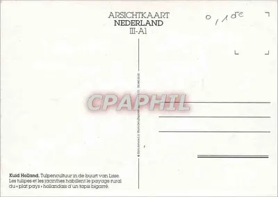 Tulipas e jacintos holandeses — cultivo em Lisse — ARSICHTKAART NEDERLAND III-A1 — Verso