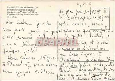 Zamek w Oleron — widok z lotu ptaka — EUROP — Rewers