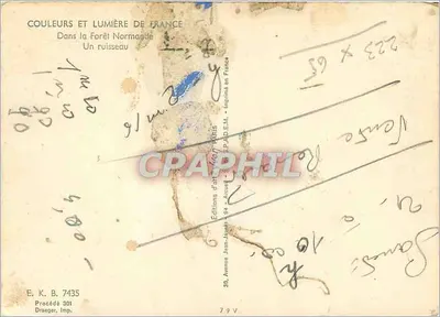 Um riacho — Na Floresta Normanda — Edições Jean-Javaux, Paris — Verso