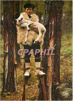 Pastore landais — soccorrendo un agnello — Élécé, Bordeaux
