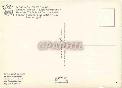 Pastore landais — soccorrendo un agnello — Élécé, Bordeaux — Verso