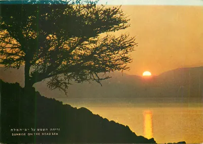 Amanhecer sobre o Mar Morto — editor Palimhot, n° 8809