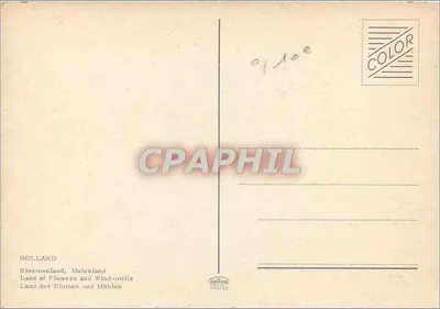 Paisaż holenderski — młyn wiatrowy i kwiaty — wydawca Krutate, n° 960/52 — Rewers