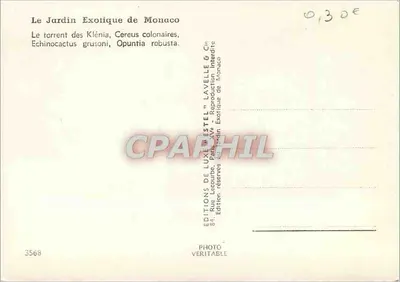Jardim Exótico de Mônaco — Cactos e plantas suculentas — Éditions de Luxe Estel — Verso