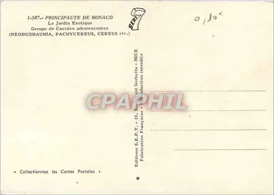 Eksotyczny ogród — Grupa drzewiastych kaktusów — Wydawnictwo S.E.P.T. - Nice — Rewers
