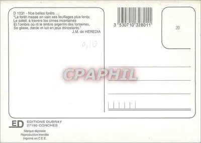 Nas belas florestas — Edições Dubray, n° D 1031 — Verso