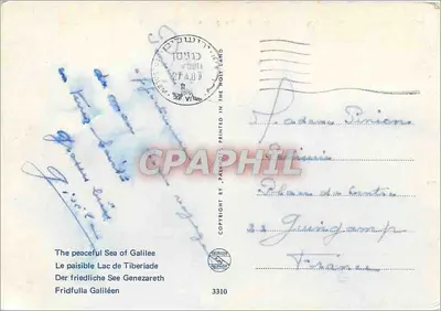 Jezioro Galileusza — widok z owcami i drogą — wydawca P.A. HOLT, nr 3310 — Rewers