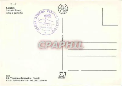Pompei — Ruínas e estátua — Ed. Vincenzo Carcavallo, n°330 — Verso