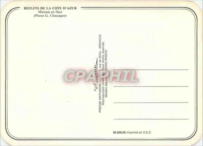 Costa Azul — Mimosa em flor — Presse Diffusion, n° 06.000.05 — Verso