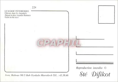 Cabras nos Arganiers — O Marrocos pitoresco — Sté Difikot — Verso