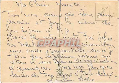 Duas anémonas rosas — Aniversário — Feliz Aniversário (texto impresso) — Sorti 107 — Verso