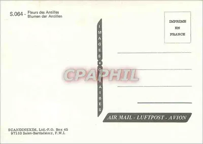 Fiori delle Antille — Serie S.064 — SCANDINEXIM, Ltd. - Saint-Barthélemy — Verso