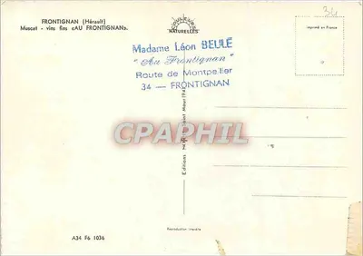 Vista aérea de vinhedos em Frontignan — Hérault — Éditions Frontignan — Verso