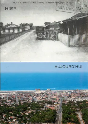 Biscarrosse-Plage (Landes) — Avenue de la Plage — Éditeur : Éditions Cely, N° 9221
