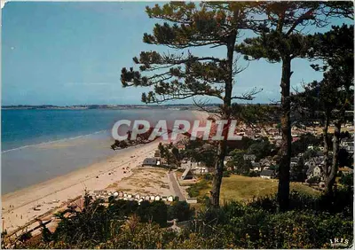 Carolles (50) — Vista geral através dos Pinheiros — Lumicap