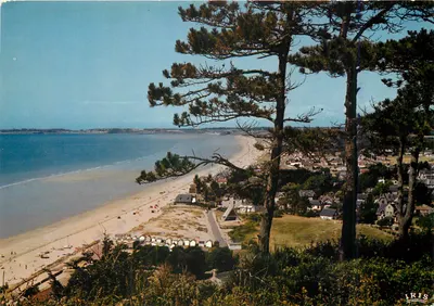 Carolles (50) — Vista geral através dos Pinheiros — IRIS