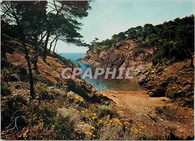 La Perle das Ilhas de Ouro — Ilha de Porquerolles — edições de France