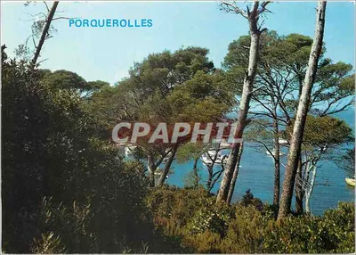Porquerolles — Vista da crique d’Alycastre — Éditions Léo Le Pradet