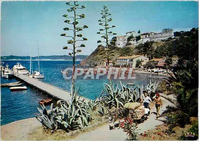 Port-Cros — O Port — Editor IRIS, n°364