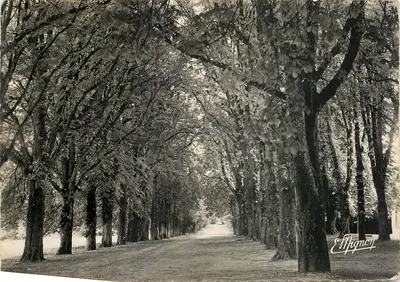 Avenida dos Nozes — Castelo de Palteau, Armeau (Yonne) — Edição E. Mignon