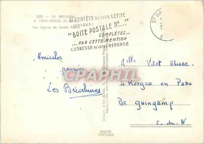 Los Cisnes del Jardín Público — Saint-Brieuc (C.-Brieuc) — Edición de Arte REMA, n° 3278 — Reverso