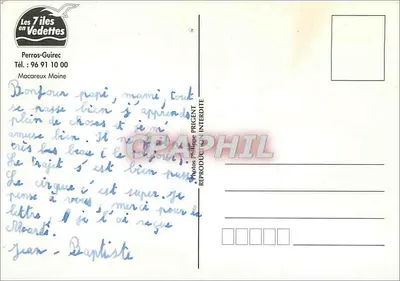पफिन — घास के खेत में — 7 द्वीप वेडिट्स में, पेरोस-गिरेक — पीछे
