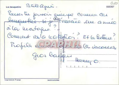 Gorilas em uma rocha — edição IRIS — n° 000257 — Verso