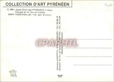 Pszczółka z Pireneusów — 1 miesiąc — Wydawnictwo ARTPYR — Rewers