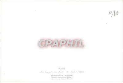 Kot biały — język na pysku — AQUARUPELLA / SUBERVIE, n° V 2531 — Rewers