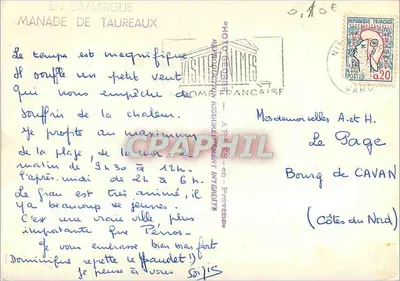 Camargue — Manade di tori — Photo Gérald Nimes — Verso