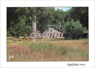 Aquitania Francia — Paesaggi delle Landes — Edizione di Guelpho Boucau