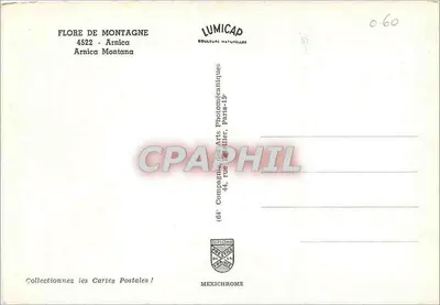 Flor de Montanha — Arnica Montana — Lumicap — Verso