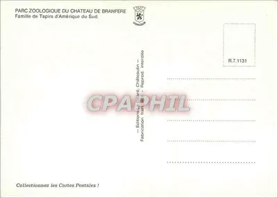 Família de Tapirs da América do Sul — Parque Zoológico do Castelo de Branfere — R.7.1131 — Verso
