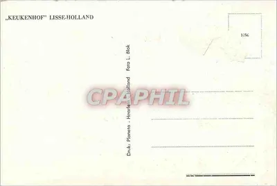 Campo de tulipas vermelhas — moinho de vento no fundo — Planeta - Harlem - Lisse-Holland — Verso