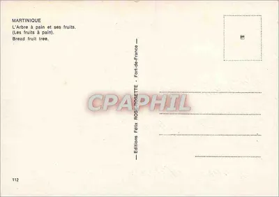 Martinica — A Árvore do Pão e seus Frutos — Edições Félix ROS-POSETTE, n°112 — Verso