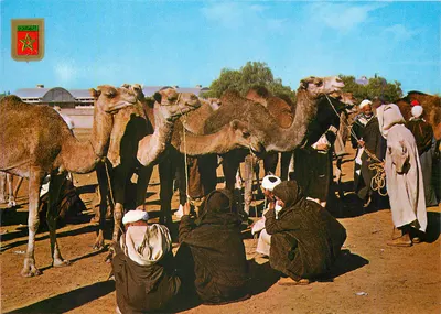 चमेली के बाजार — मोरक्को — प्रकाशक कोमारोस एसए, संख्या 4