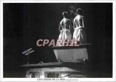 Os Cães do Mar — Pequeno Operário de Denis Chabroullet — Foto de François Marie