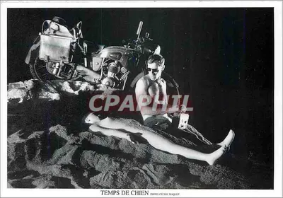 Temps de Chien — Comédia de Denis Chabroullet — Foto Cécile Maquet