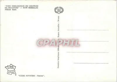 Pelicano Rosa — Parque Zoológico do Castelo de Branfere — 56190 Muzillac — Verso