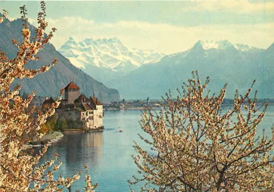 Castelo de Chillon — Dentes do Meio-Dia — Edição Schneider, Lucerna — n° 902